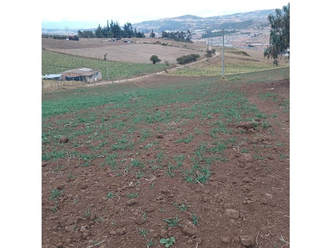 Lote en venta en Tunja, Tunja, 7771 m² · foto 14 de 21