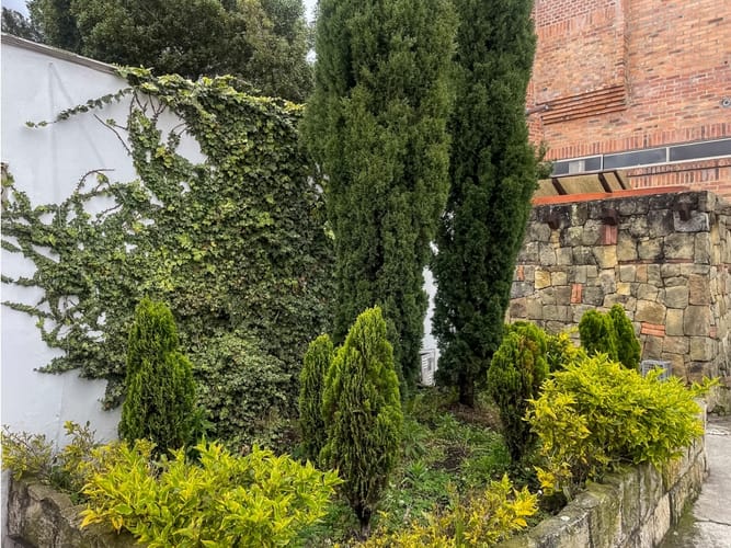 Casa de 4 alcobas en venta en Bosque De Pinos, Bogotá, 932 m² · foto 6 de 24