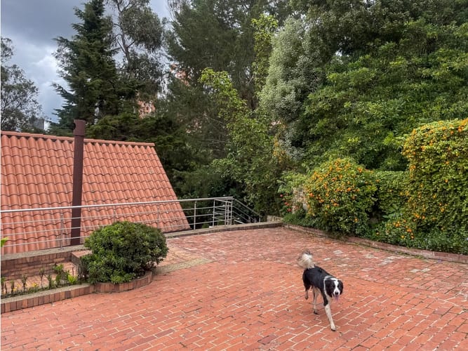 Casa de 4 alcobas en venta en Bosque De Pinos, Bogotá, 932 m² · foto 17 de 24