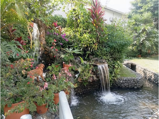 Casa de 5 alcobas en venta en Pance, Cali, 500 m² · foto 4 de 15