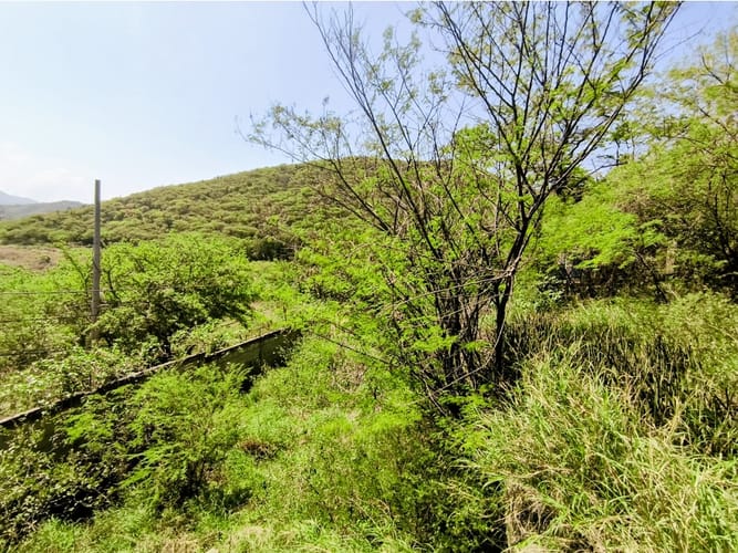 Lote en venta en Salguero, Santa Marta, 11566 m² · foto 15 de 19