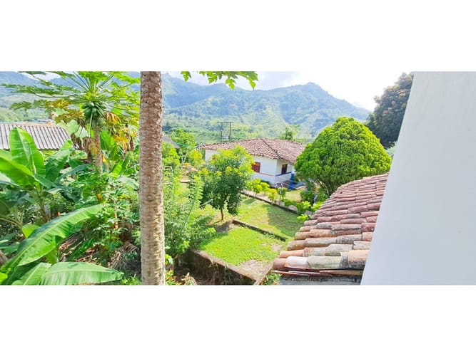 Finca en venta en Combia, Pereira, 300 m² · foto 4 de 24