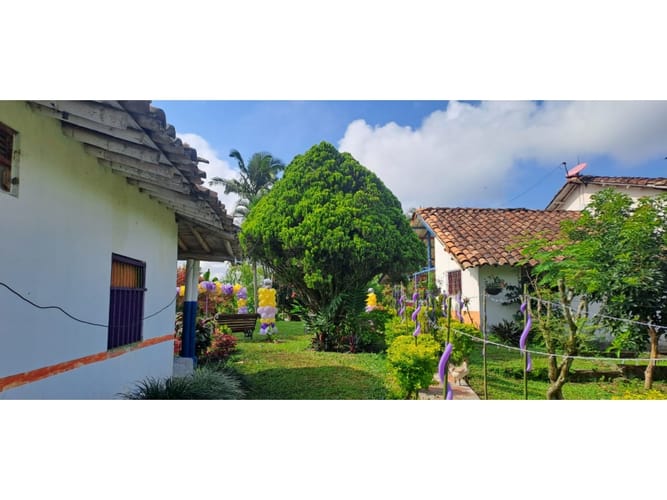 Finca en venta en Combia, Pereira, 300 m² · foto 6 de 24
