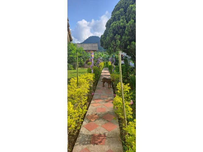 Finca en venta en Combia, Pereira, 300 m² · foto 7 de 24