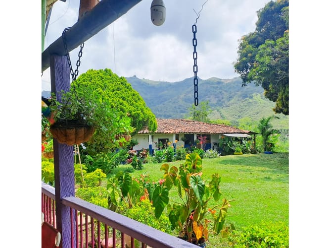 Finca en venta en Combia, Pereira, 300 m² · foto 14 de 24