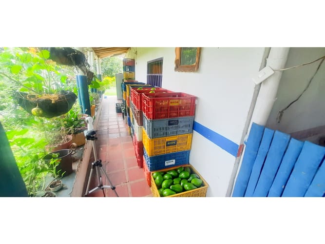 Finca en venta en Combia, Pereira, 300 m² · foto 21 de 24