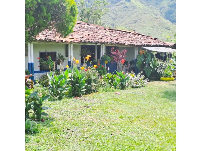Finca en venta en Combia, Pereira, 300 m² · foto 22 de 24