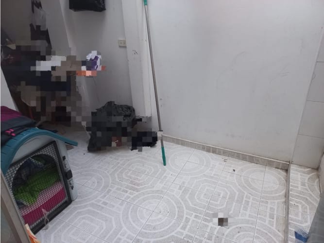 Casa de 6 alcobas en venta en Santa Ines, Tunja, 239 m² · foto 6 de 24