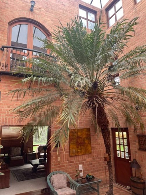 Casa de 4 alcobas en venta en Siberia, Cota, 207 m² · foto 3 de 24