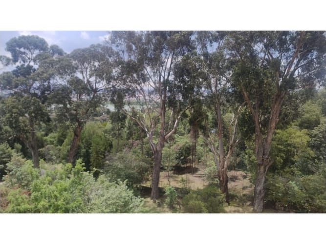 Apartamento de 4 alcobas en arriendo en Suba Urbano, Bogotá, 267 m² · foto 19 de 24