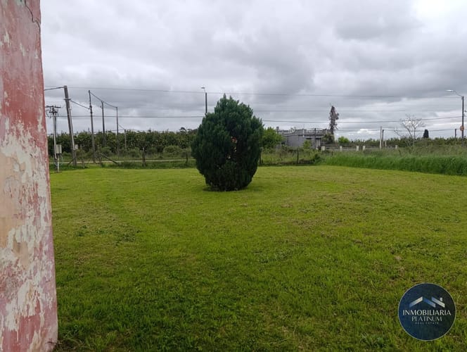 Galpón en alquiler de 14900m2 ubicado en Toledo Chico · Foto 3