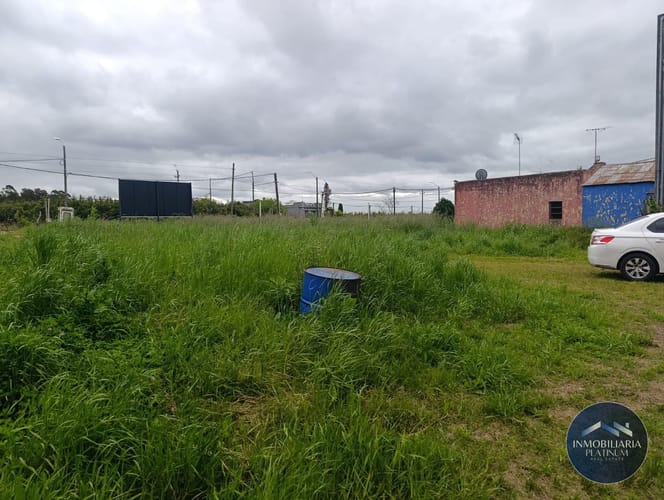 Galpón en alquiler de 14900m2 ubicado en Toledo Chico · Foto 7