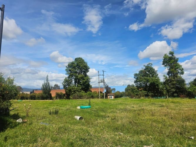 Lote en arriendo en Siberia, Cota, 3000 m² · foto 4 de 7