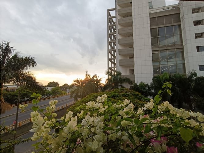 Apartamento de 3 alcobas en venta en Camino Real, Cali, 155 m² · foto 15 de 24