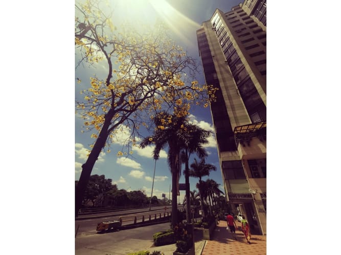 Apartamento de 3 alcobas en venta en Camino Real, Cali, 155 m² · foto 21 de 24