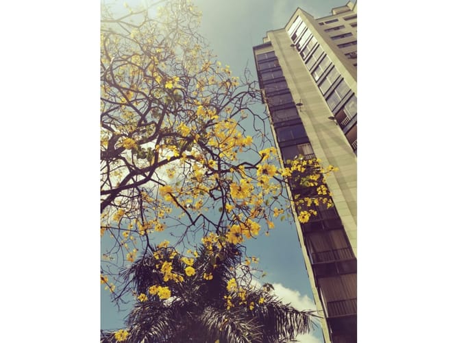 Apartamento de 3 alcobas en venta en Camino Real, Cali, 155 m² · foto 23 de 24