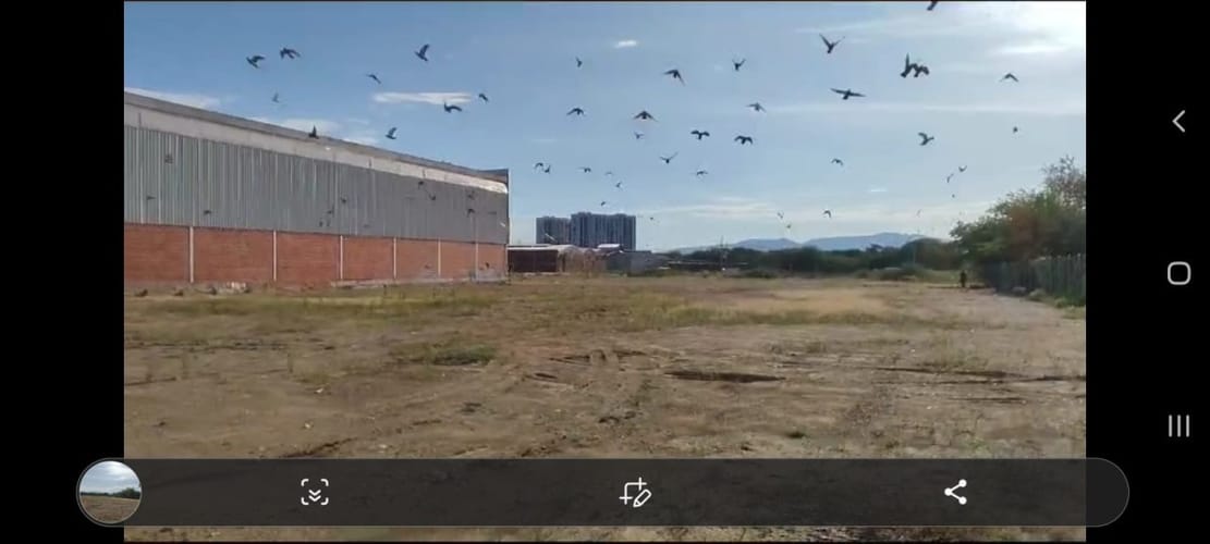 Lote en venta en Neiva, 10017 m² · foto 14 de 15