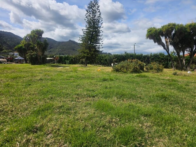 Lote en arriendo en Siberia, Cota, 9000 m² · foto 10 de 16