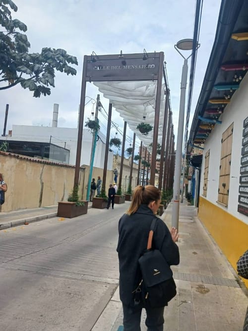 Casa de 8 alcobas en venta en Centro Comercial Hacienda Santa Bárbara, Bogotá, 592 m² · foto 4 de 24