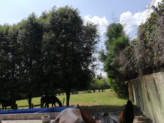 Lote en venta en Fonquetá, Chía, 400 m² · foto 7 de 18