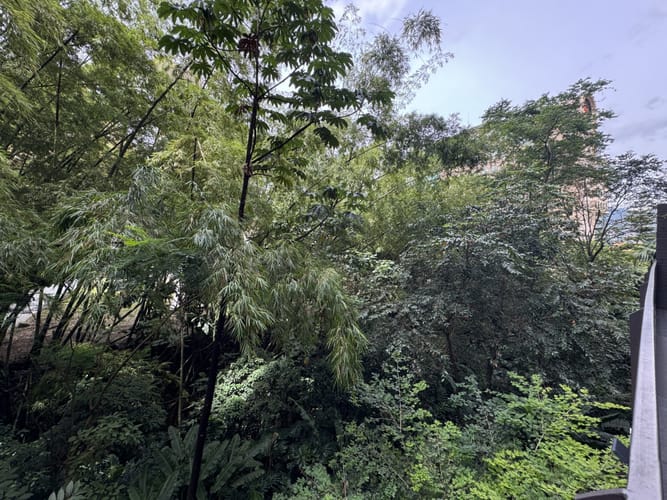 Apartamento de 3 alcobas en arriendo en La Florida, Medellín, 190 m² · foto 23 de 24