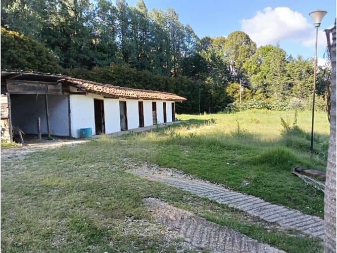 Casa de 3 alcobas en venta en Sajonia, Rionegro, 800 m² · foto 17 de 24