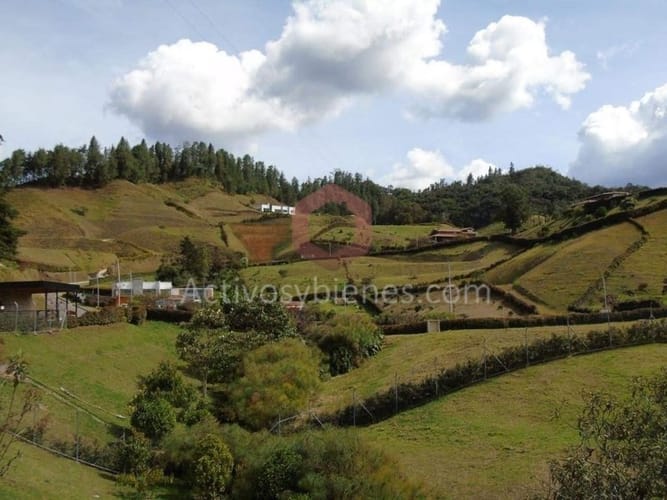 Lote en venta en El Chuscal, El Retiro, 2500 m² · foto 2 de 14