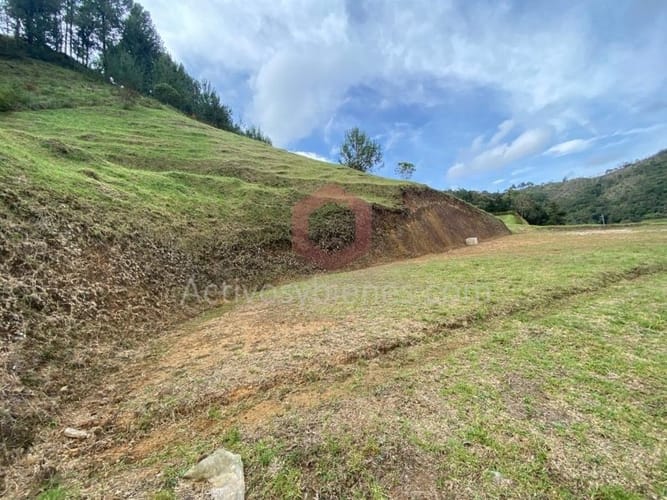 Lote en venta en El Chuscal, El Retiro, 2500 m² · foto 4 de 14