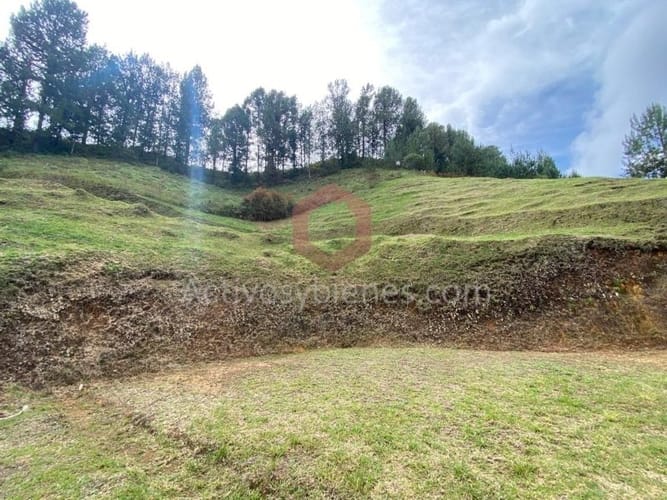 Lote en venta en El Chuscal, El Retiro, 2500 m² · foto 5 de 14