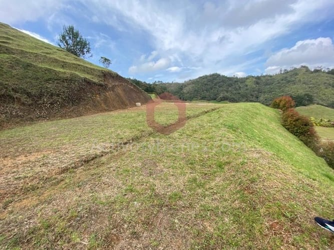 Lote en venta en El Chuscal, El Retiro, 2500 m² · foto 8 de 14