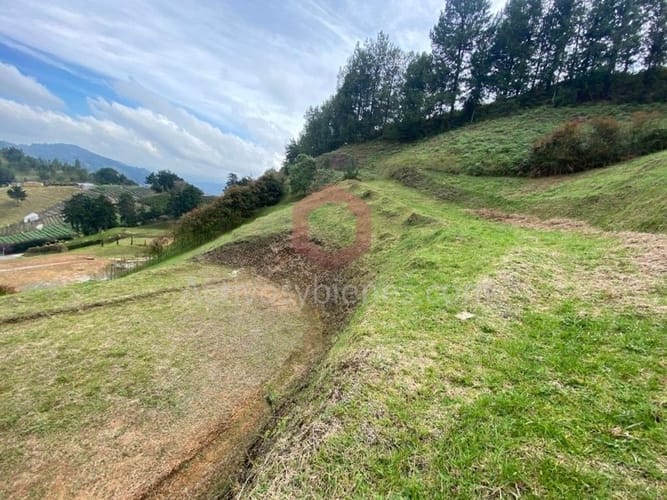 Lote en venta en El Chuscal, El Retiro, 2500 m² · foto 11 de 14