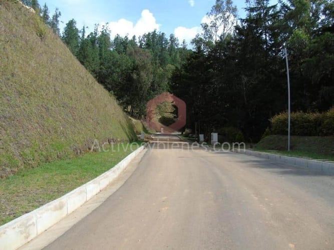 Lote en venta en El Chuscal, El Retiro, 2500 m² · foto 12 de 14