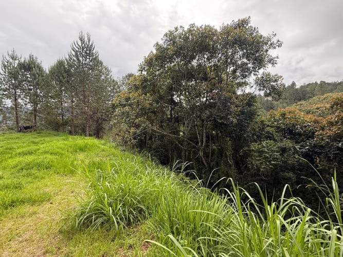 Lote en venta en Los Salados, El Retiro, 9686 m² · foto 5 de 9