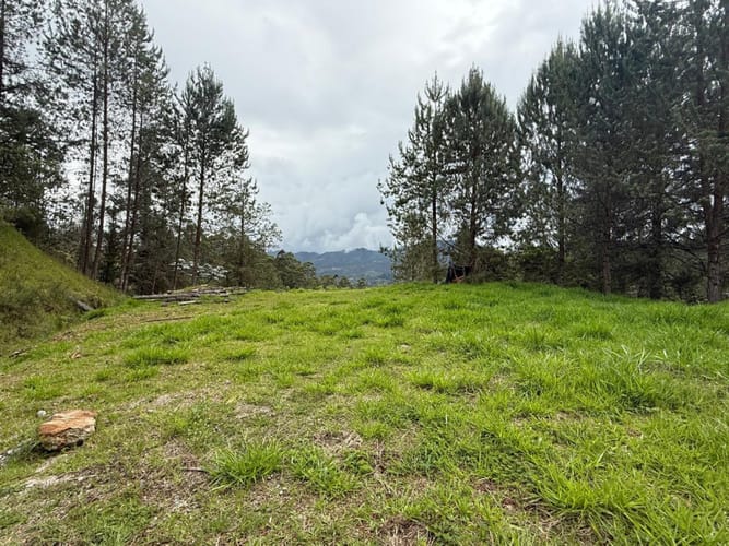 Lote en venta en Los Salados, El Retiro, 9686 m² · foto 6 de 9