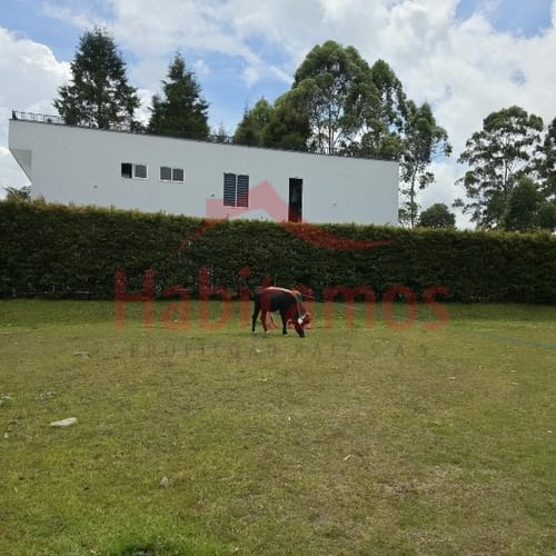 Lote en venta en Mampuesto, Rionegro, 1245 m² · foto 4 de 6