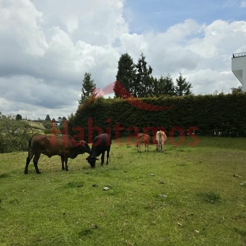 Lote en venta en Mampuesto, Rionegro, 1245 m² · foto 5 de 6