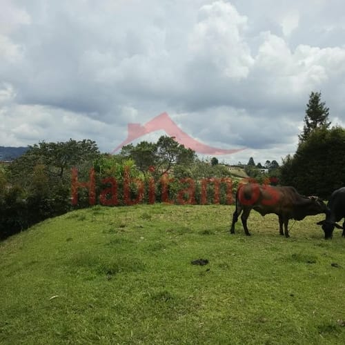 Lote en venta en Mampuesto, Rionegro, 1245 m² · foto 6 de 6