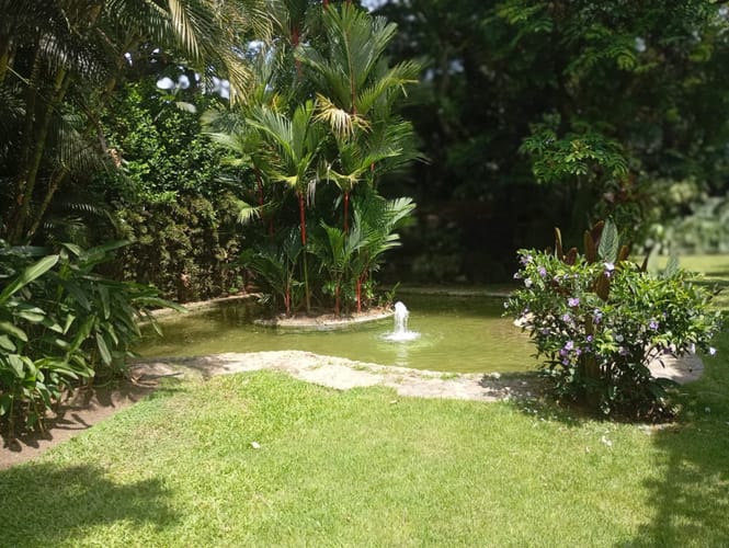 Casa de 5 alcobas en venta en La Morada, Jamundí, 772 m² · foto 7 de 22