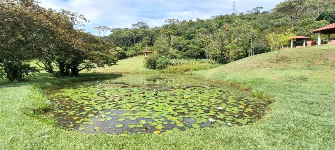 Lote en venta en Verde Horizonte, Jamundí, 710 m² · foto 6 de 20
