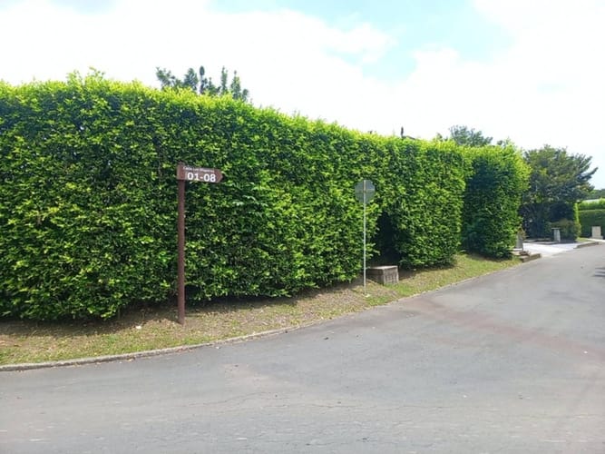Lote en venta en Verde Horizonte, Jamundí, 710 m² · foto 14 de 20
