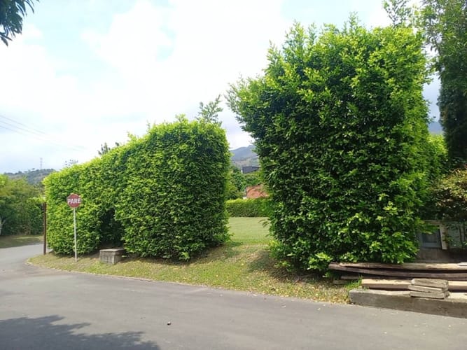 Lote en venta en Verde Horizonte, Jamundí, 710 m² · foto 17 de 20