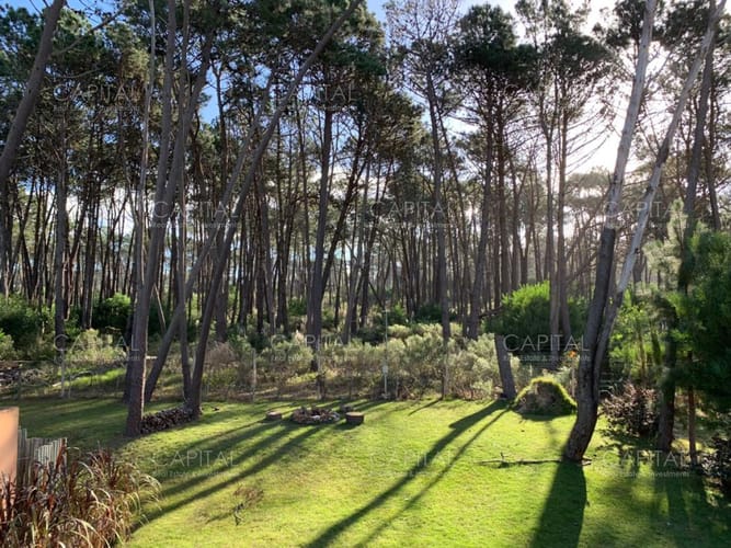 Casa en Alquiler Laguna Blanca Manantiales Punta del Este cuatro Dormitorios · Foto 7