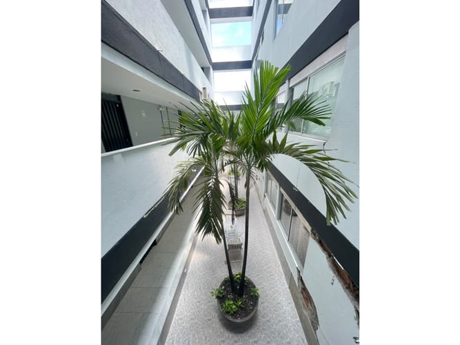 Apartaestudio en arriendo en El Refugio, Cali, 30 m² · foto 4 de 11