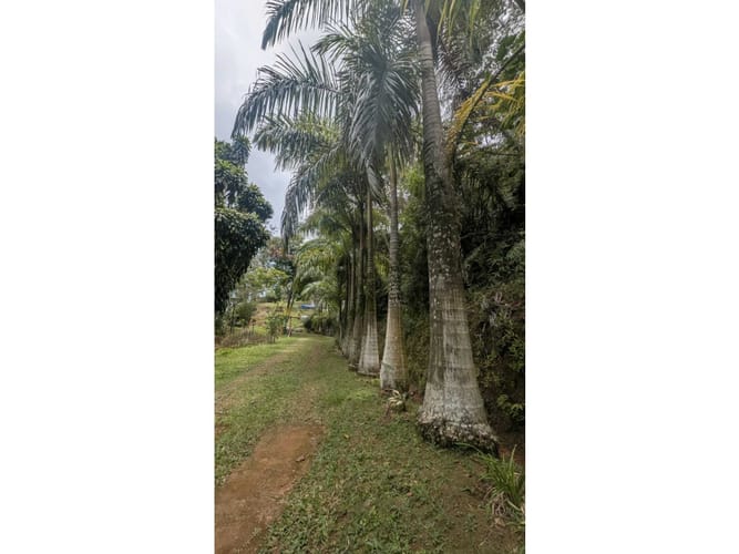 Casa de 5 alcobas en venta en El Faro, Cali, 280 m² · foto 4 de 24