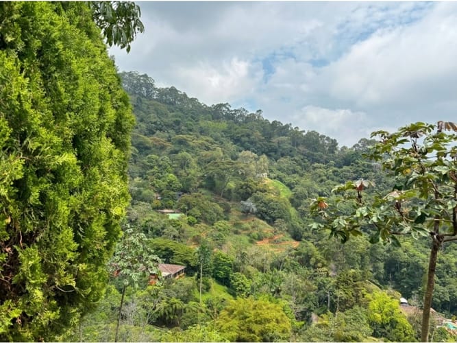 Casa de 5 alcobas en venta en El Faro, Cali, 280 m² · foto 21 de 24