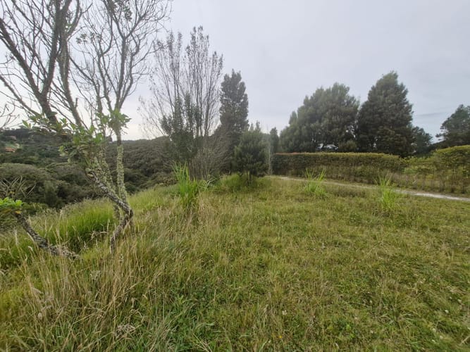Lote en venta en Vía Las Palmas, Envigado, 1945 m² · foto 2 de 9
