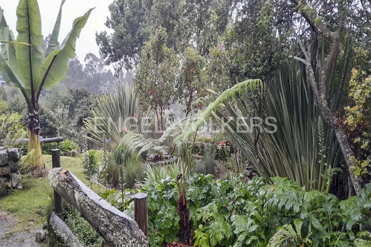 Finca en venta en Centro, La Calera, 400 m² · foto 11 de 12