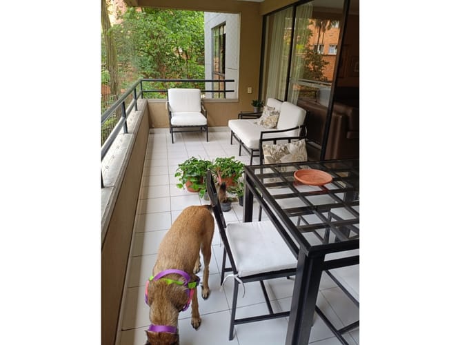 Apartamento de 3 alcobas en venta en Loma De Los Gonzalez, Medellín, 192 m² · foto 7 de 23