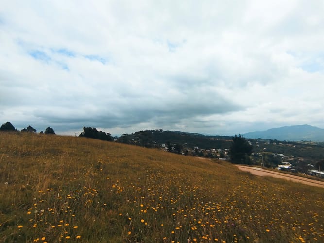 Lote en venta en Yerbabuena, Sopó, 2521 m² · foto 9 de 24