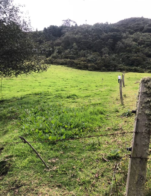 Lote en venta en Meusa, Sopó, 17081 m² · foto 4 de 6